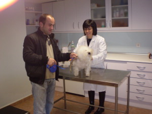 Consulta nº 2