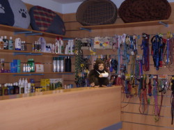 Recepción